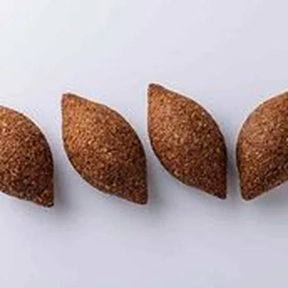 Fried Kibbeh